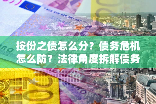 武汉按份之债怎么分？债务危机怎么防？法律角度拆解债务分配与风险自保指南