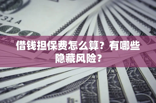 武汉借钱担保费怎么算？有哪些隐藏风险？