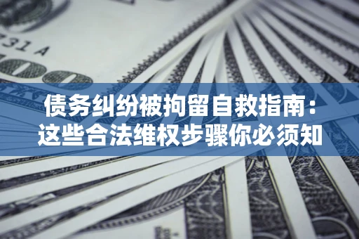 武汉债务纠纷被拘留自救指南：这些合法维权步骤你必须知道！