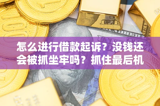 武汉怎么进行借款起诉？没钱还会被抓坐牢吗？抓住最后机会！