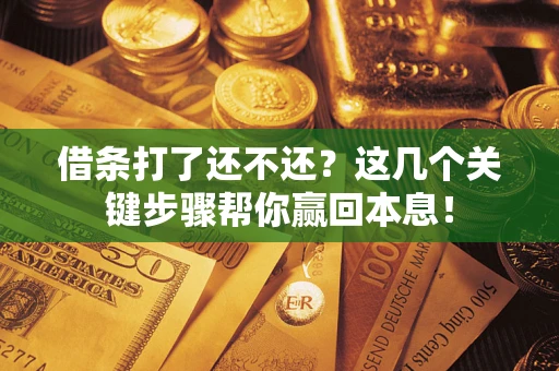 武汉借条打了还不还？这几个关键步骤帮你赢回本息！