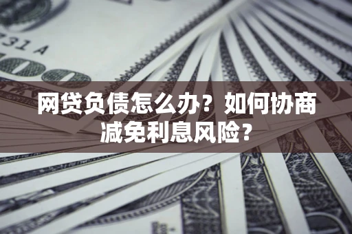 武汉网贷负债怎么办？如何协商减免利息风险？