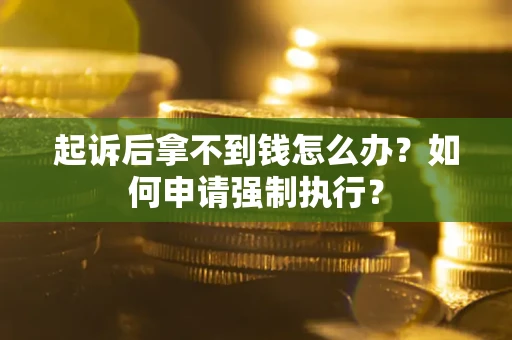 武汉起诉后拿不到钱怎么办？如何申请强制执行？
