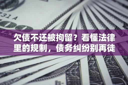 武汉欠债不还被拘留？看懂法律里的规制，债务纠纷别再徒劳奔波