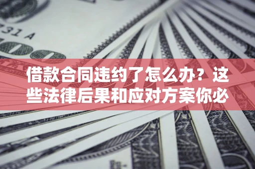 武汉借款合同违约了怎么办？这些法律后果和应对方案你必须知道
