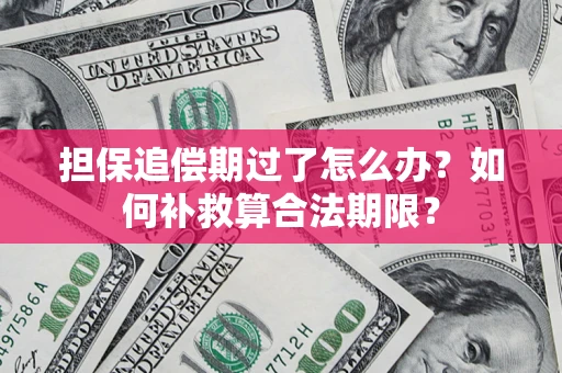 武汉担保追偿期过了怎么办？如何补救算合法期限？