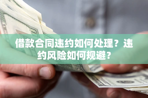 武汉借款合同违约如何处理？违约风险如何规避？