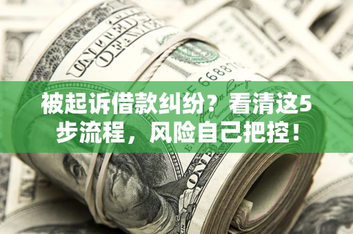 武汉被起诉借款纠纷？看清这5步流程，风险自己把控！