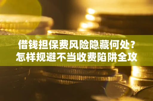 武汉借钱担保费风险隐藏何处？怎样规避不当收费陷阱全攻略！